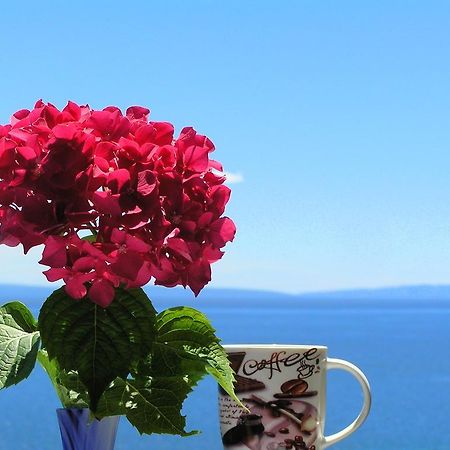 Guest House Lifestyle Holiday Abbázia Szoba fotó